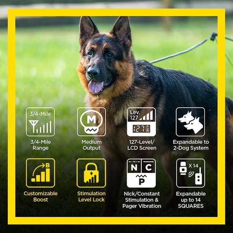 Image of Dogtra ARC HANDSFREE Plus Boost and Lock, Remote Dog Training E-Collar