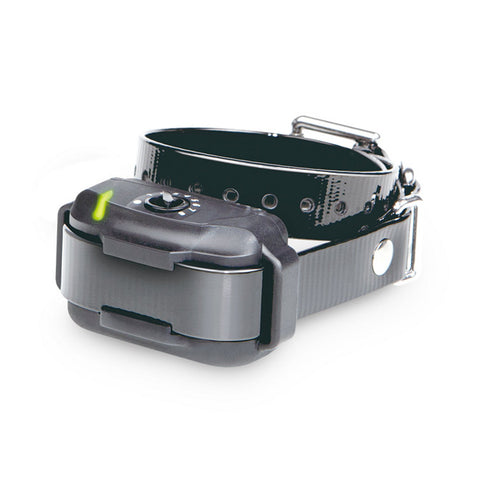 Image of Dogtra In-Ground Dog Fence Collar