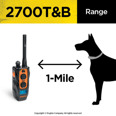 Image of 2700T&B Training & Beeper Collar