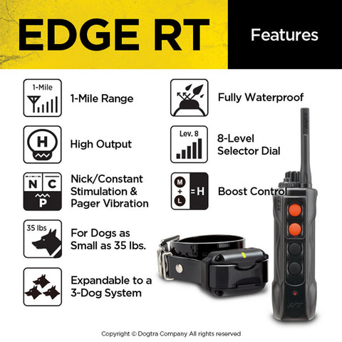 Image of Dogtra Edge RT Trainer