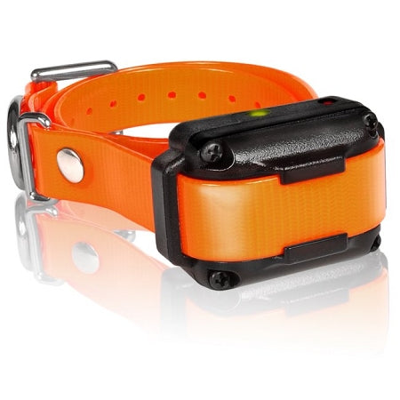 Image of IQ Plus Additional Receiver Orange Strap