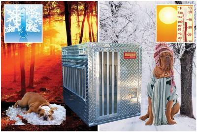 Image of Hunter Series Single Compartment Dog Box - All Season Vents w/o Storage - DOGSWAGI