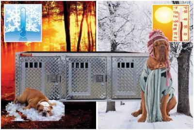Image of Hunter Series Triple Compartment Dog Box - All Seasons Rear Vents w/ Top Storage - DOGSWAGI