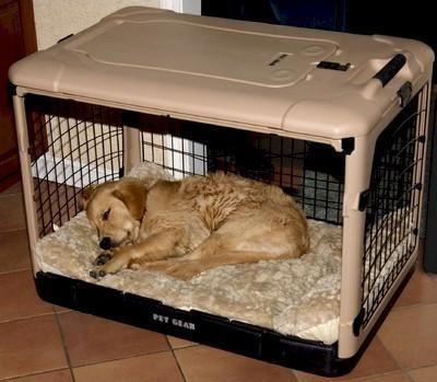 Image of Deluxe Steel Dog Crate With Pad - DOGSWAGI