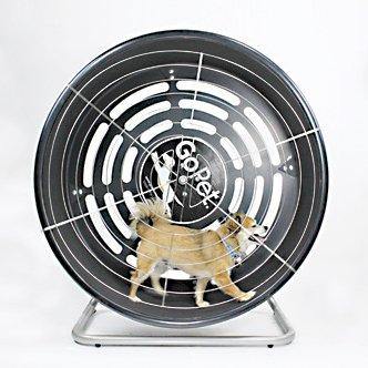Image of GoPet TreadWheel For Dogs - DOGSWAGI