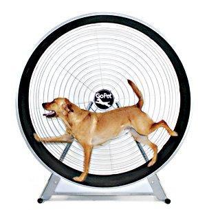 Image of GoPet TreadWheel For Dogs - DOGSWAGI