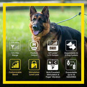 Dogtra ARC HANDSFREE Plus Boost and Lock, Remote Dog Training E-Collar
