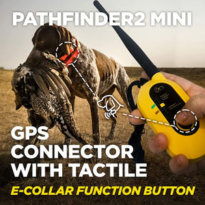 Dogtra PATHFINDER2 MINI Additional GPS Dog Tracking and Dog Training Collar - Green