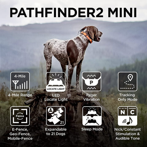 Image of Dogtra PATHFINDER2 MINI Additional GPS Dog Tracking and Dog Training Collar - Black