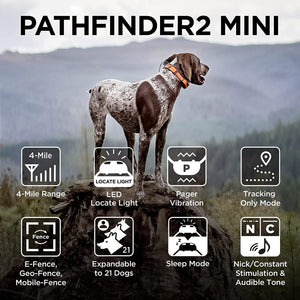 Dogtra PATHFINDER2 MINI Additional GPS Dog Tracking Collar - Blue