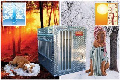 Hunter Series Single Compartment Dog Box - All Season Vents w/o Storage - DOGSWAGI