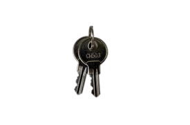 Replacement Key Set for Dog Boxes and Tool Boxes - DOGSWAGI