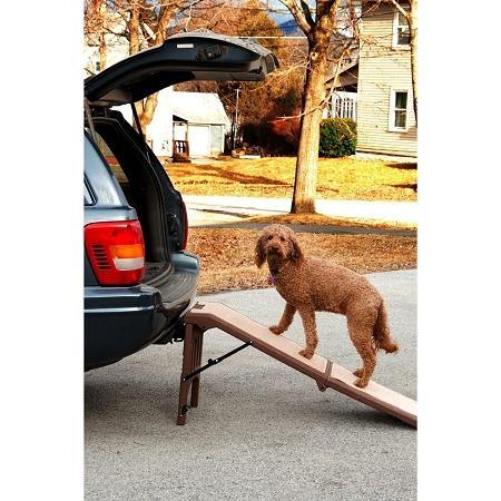 Free-Standing Pet Ramp - DOGSWAGI