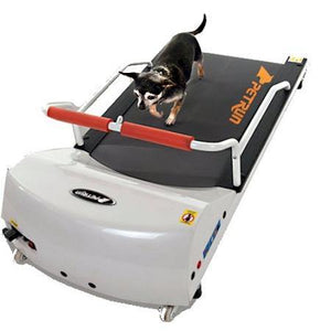 PetRun PR7 Dog Treadmill - DOGSWAGI