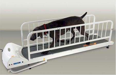 PetRun PR725 Dog Treadmill - DOGSWAGI